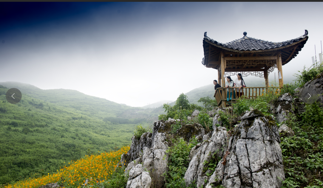 湖南旅游開發(fā)公司,懷化旅游開發(fā)公司,懷化峽谷探幽,懷化石林花山植物園 湖南旅游開發(fā)公司,懷化旅游開發(fā)公司,懷化峽谷探幽,懷化石林花山植物園