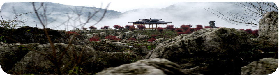 湖南旅游開發(fā)公司,懷化旅游開發(fā)公司,懷化峽谷探幽,懷化石林花山植物園 湖南旅游開發(fā)公司,懷化旅游開發(fā)公司,懷化峽谷探幽,懷化石林花山植物園